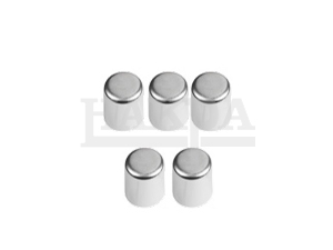 -KNORR TYPE-CALIPER PIN CAP SET ( 40X31 )